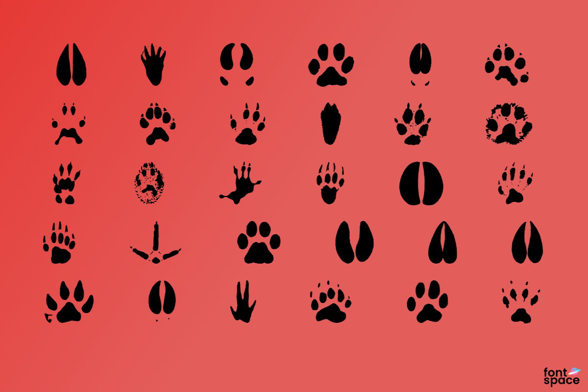 Animal Tracks Font | Andrew D. Taylor | FontSpace