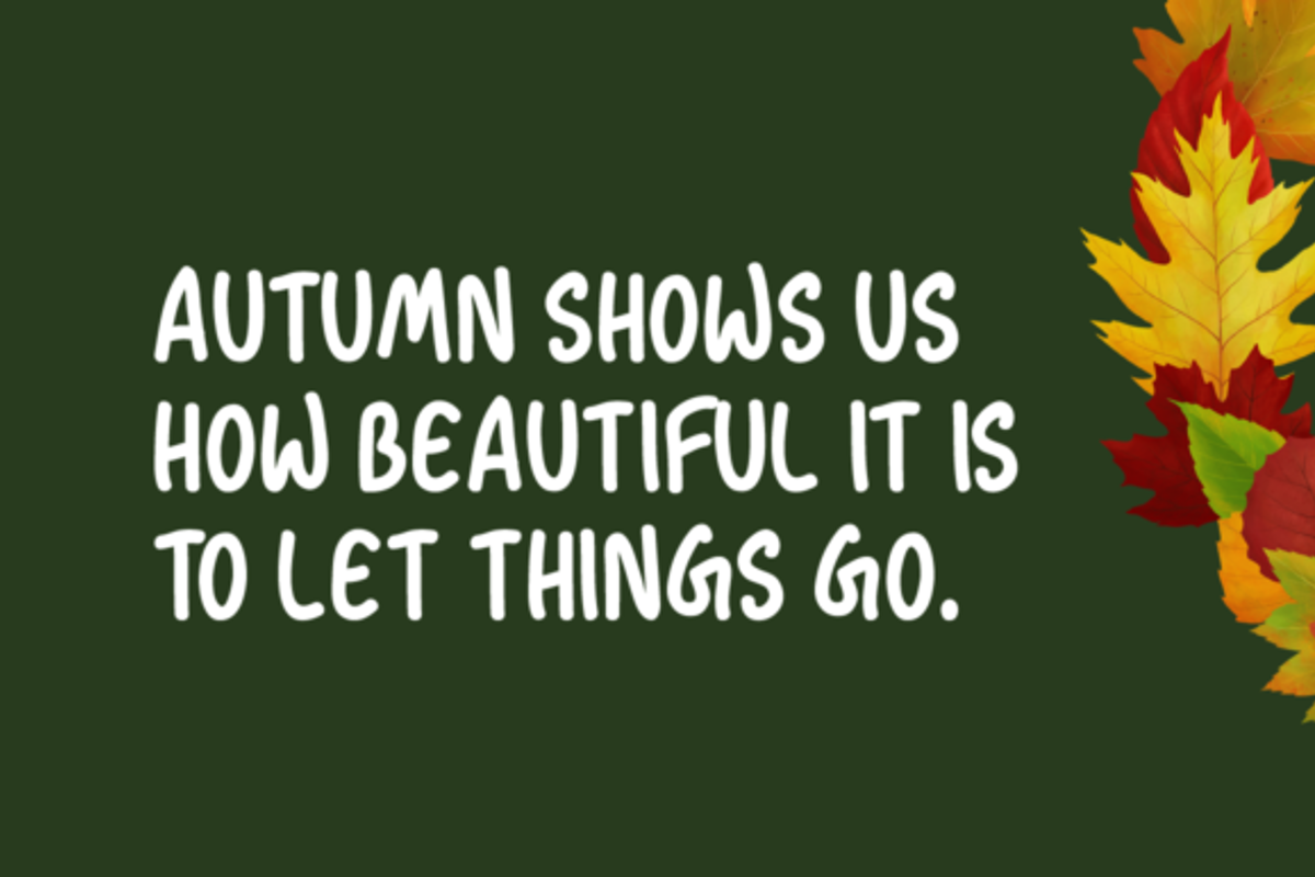 Autumn Season Font | Instagram Fonts | FontSpace