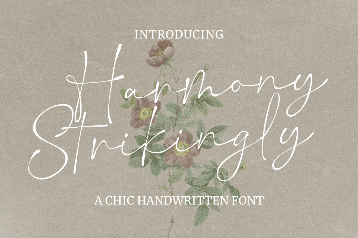 Harmony Strikingly Font | Letterfly Studio | FontSpace