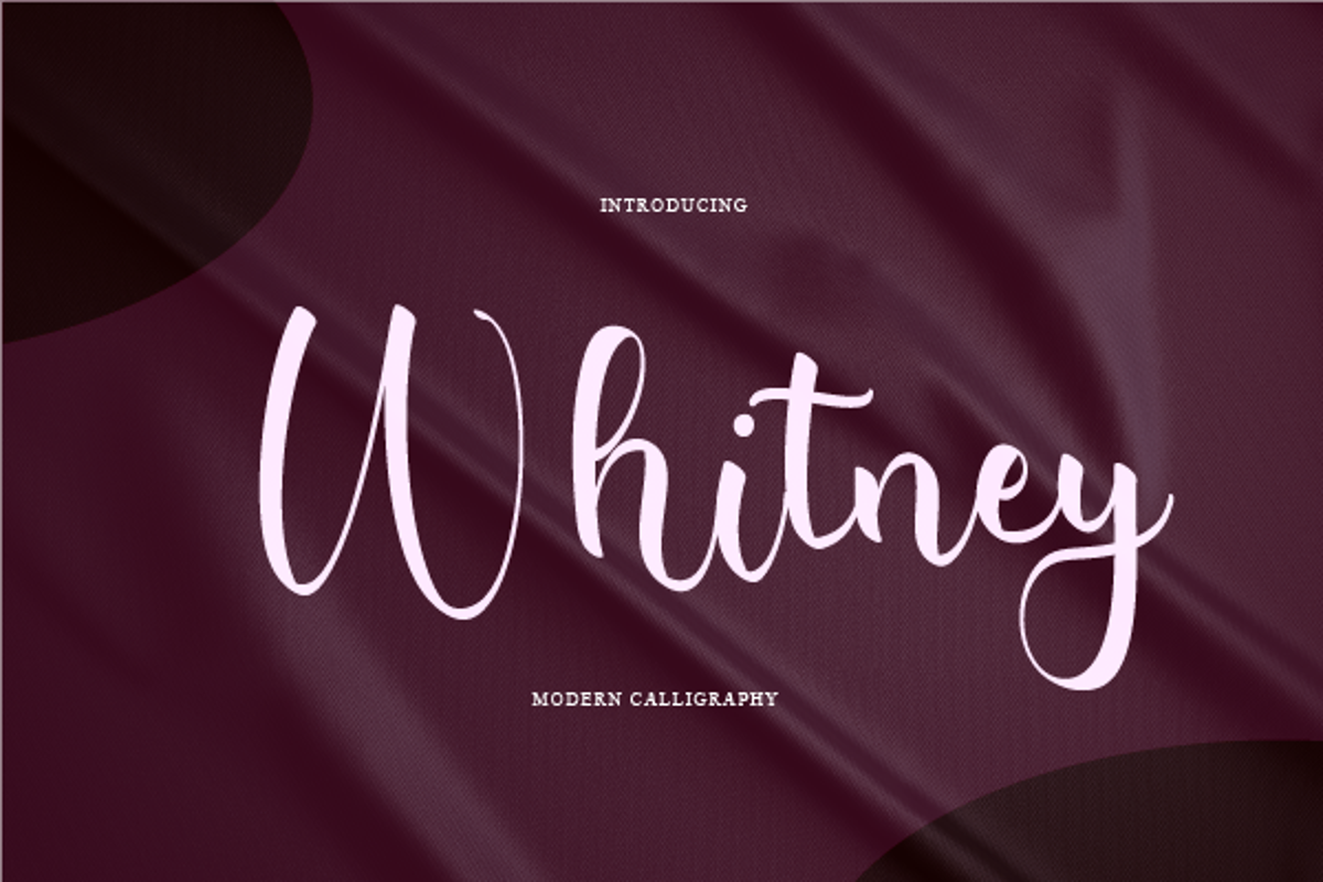 Whitney Font Synthetic Type FontSpace