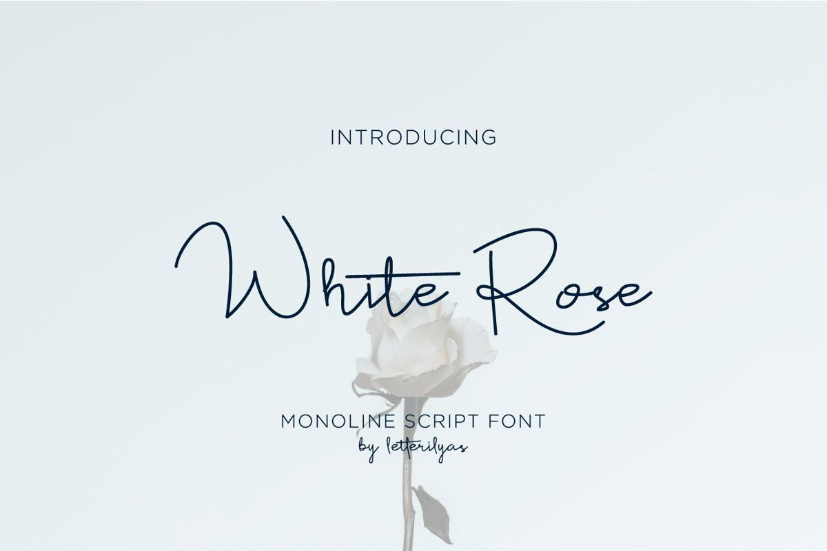 White Rose Font Skillyas Studio FontSpace white-rose-font-skillyas-studio-fontspace