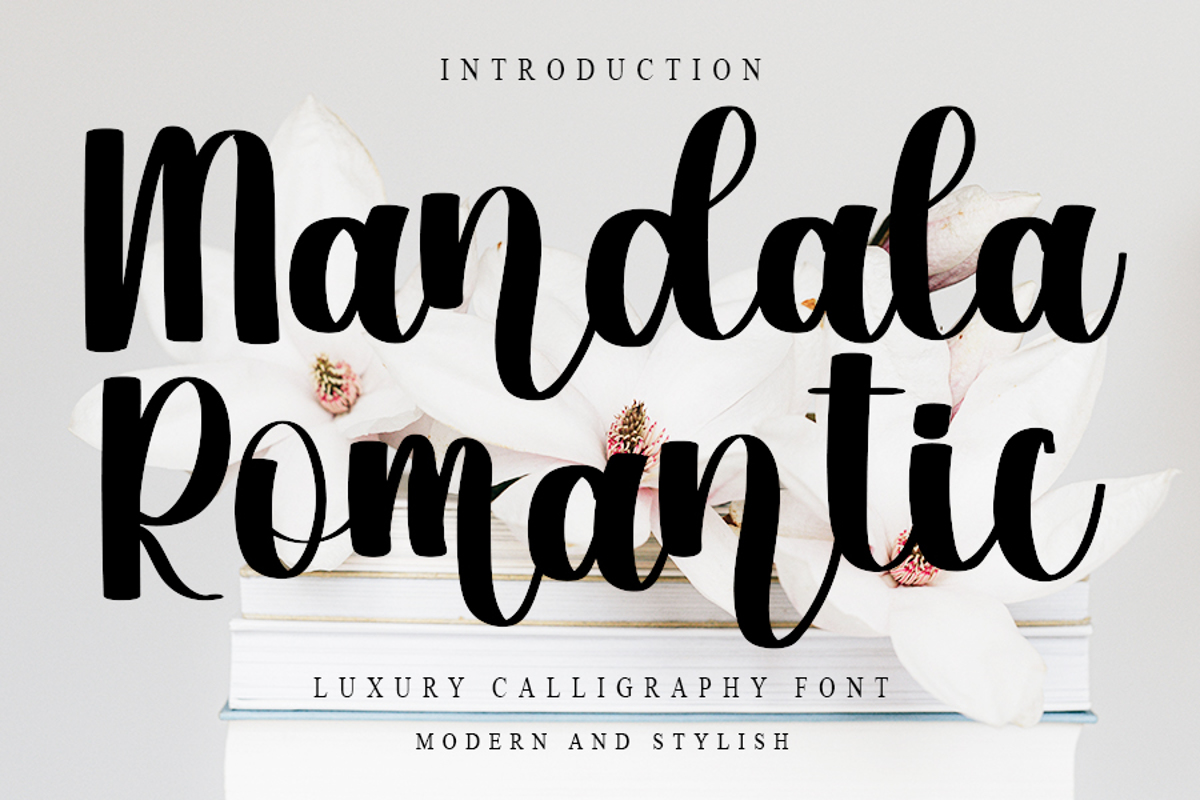 Mandala Romantic Font | FreshTypeINK | FontSpace