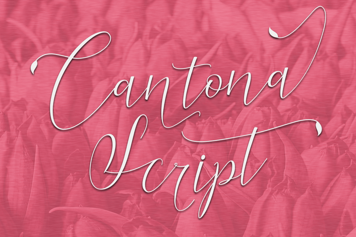 Cantona Script Font - Free Download