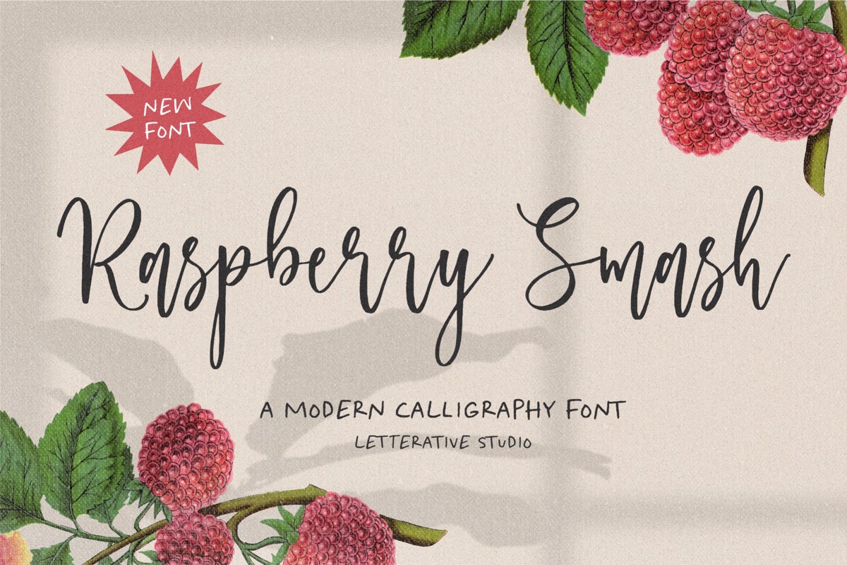 Raspberry Smash Font | letterativestudio | FontSpace