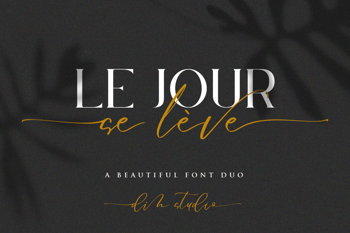 Le jour serif font din studio fontspace