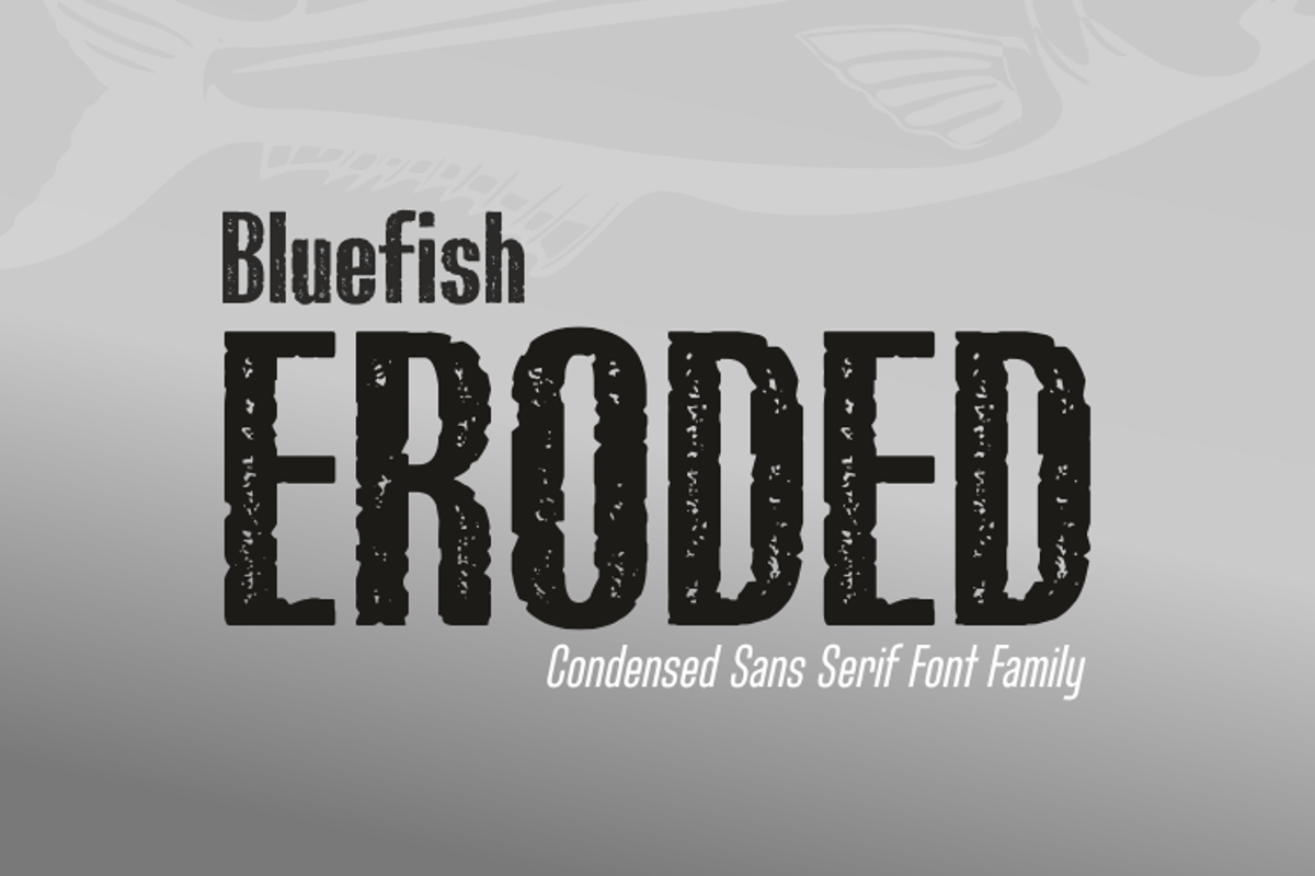 Шрифт demo. Bluefish Demo font. Eroded fonts. Creation Demo шрифт. 800 Шрифт.