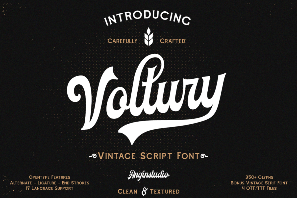 Voltury Font | Angin.studio | FontSpace