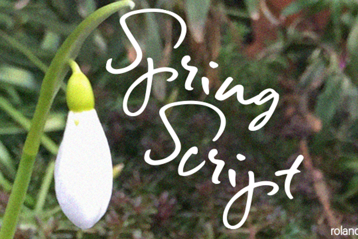 Spring Script Font - Free Download