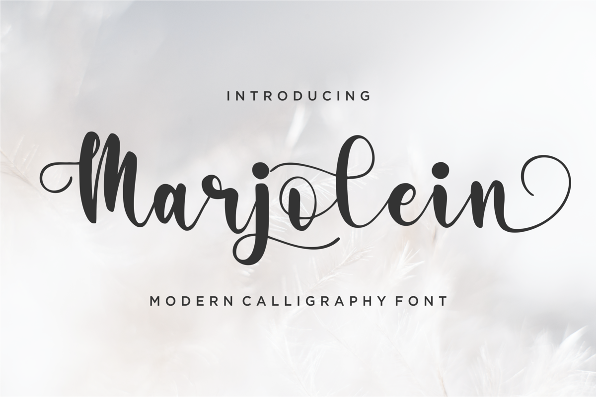 Marjolein Font | qwrtype_foundry | FontSpace