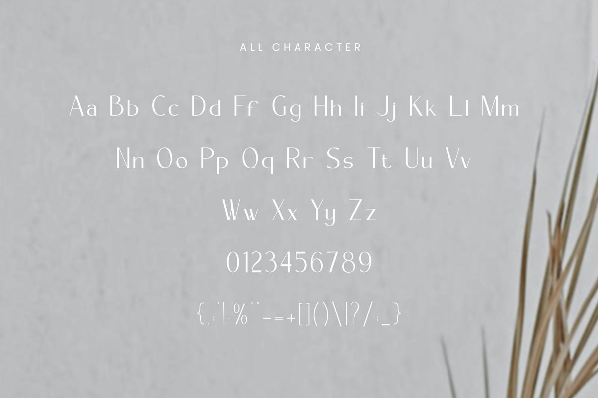Sanstar Font | FlawlessAndCo | FontSpace