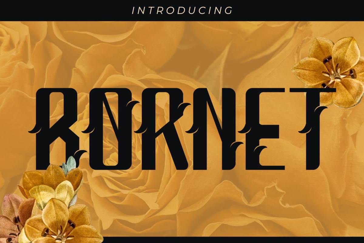 Bornet Font | Nomlimofont | FontSpace