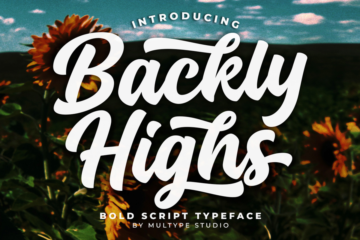 Backly Highs Font | Multype Studio | FontSpace