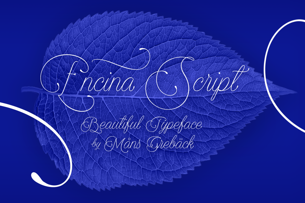 Script 01. Encina.