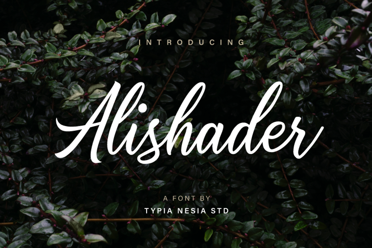 Demo font. Шрифт походный. шрифт magettas. inara demo font.