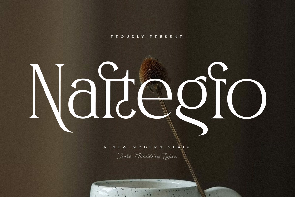 Naftegfo Font Storytype Studio Fontspace