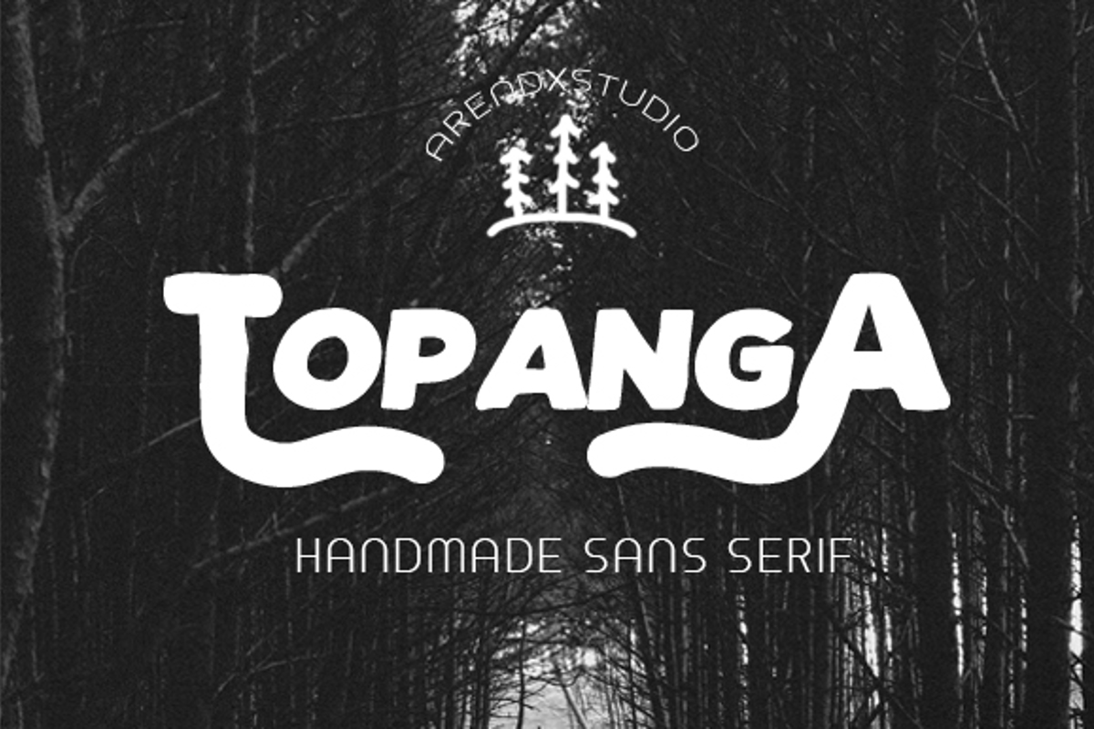 topanga net worth