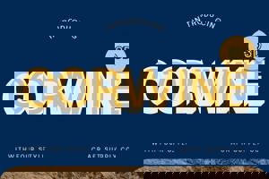 Corwine 3D