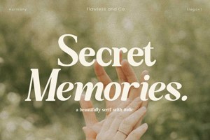 Secret Memories