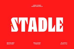 Related font CS Stadle