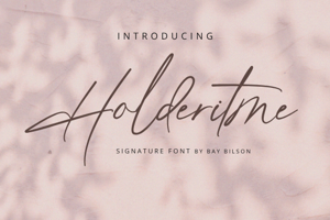 Holderitme