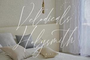 Velodicals Holysmith