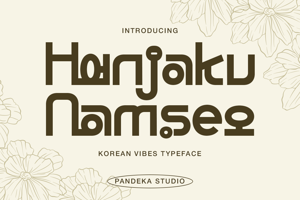 Hanjaku Namseo