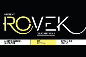 Rovek 2.0