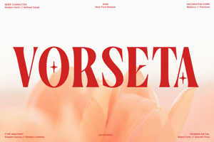 Related font Vorseta