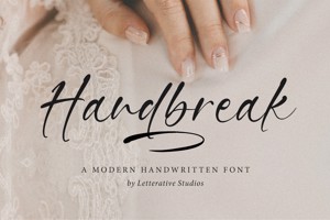 Handbreak