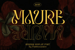 Maure