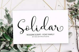 Solidar Script Family
