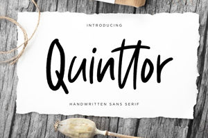 Quinttor Sans Serif