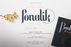 FONATIK DISPLAY FONT + EXTRAS