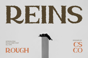 Related font Reins Rough
