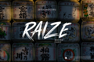 Related font RAIZE