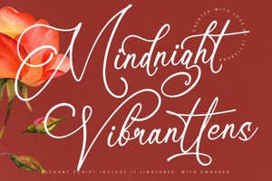 Mindnight Vibranttens VERS