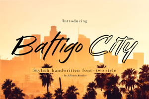 Baltigo City