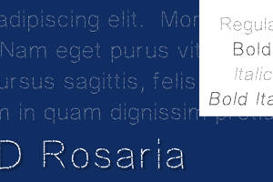 JD Rosaria