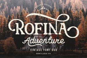 Related font Rofina