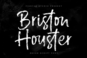 Briston Houster