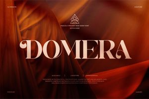 Related font Domera