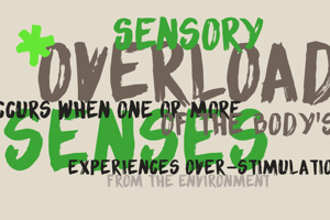 DK Sensory Overload