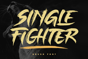 Single Fighter