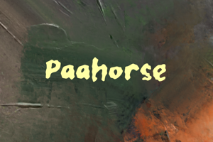 Related font Paahorse