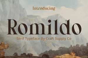 Related font Romildo