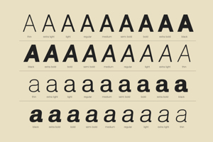 Lenia Sans