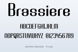Related font Brassiere