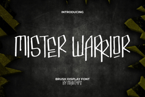 Mister Warrior