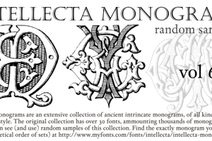 Intellecta Monograms Random Six