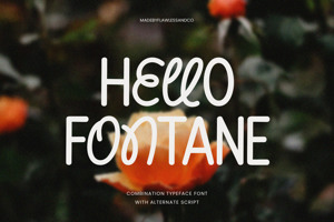 Hello Fontane